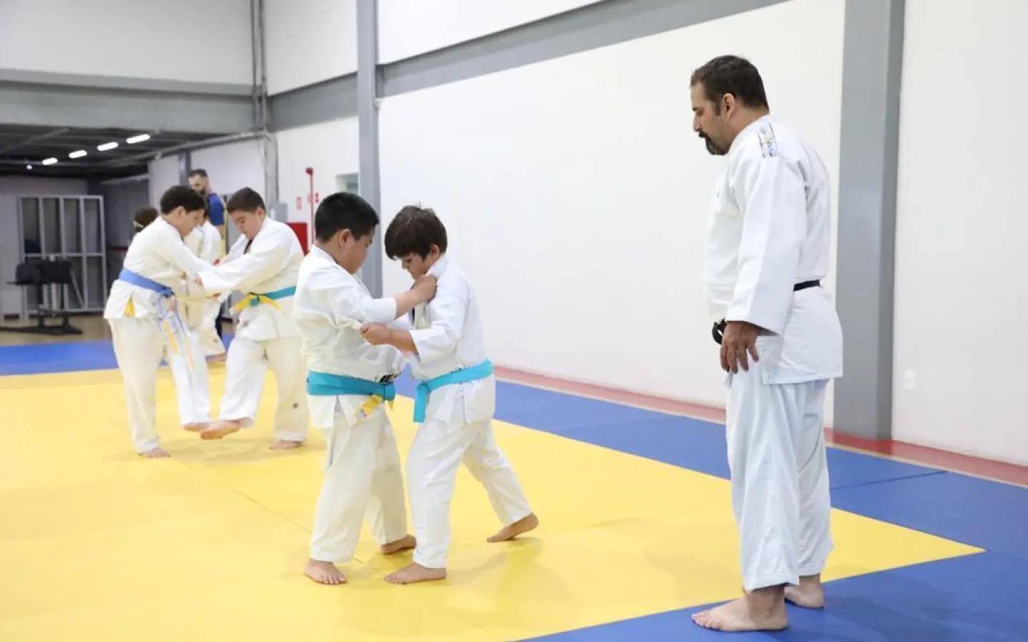 Artes Marciais e Esportes de Combate