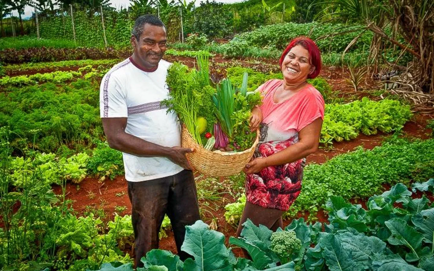 Agricultura Familiar e Cooperativismo