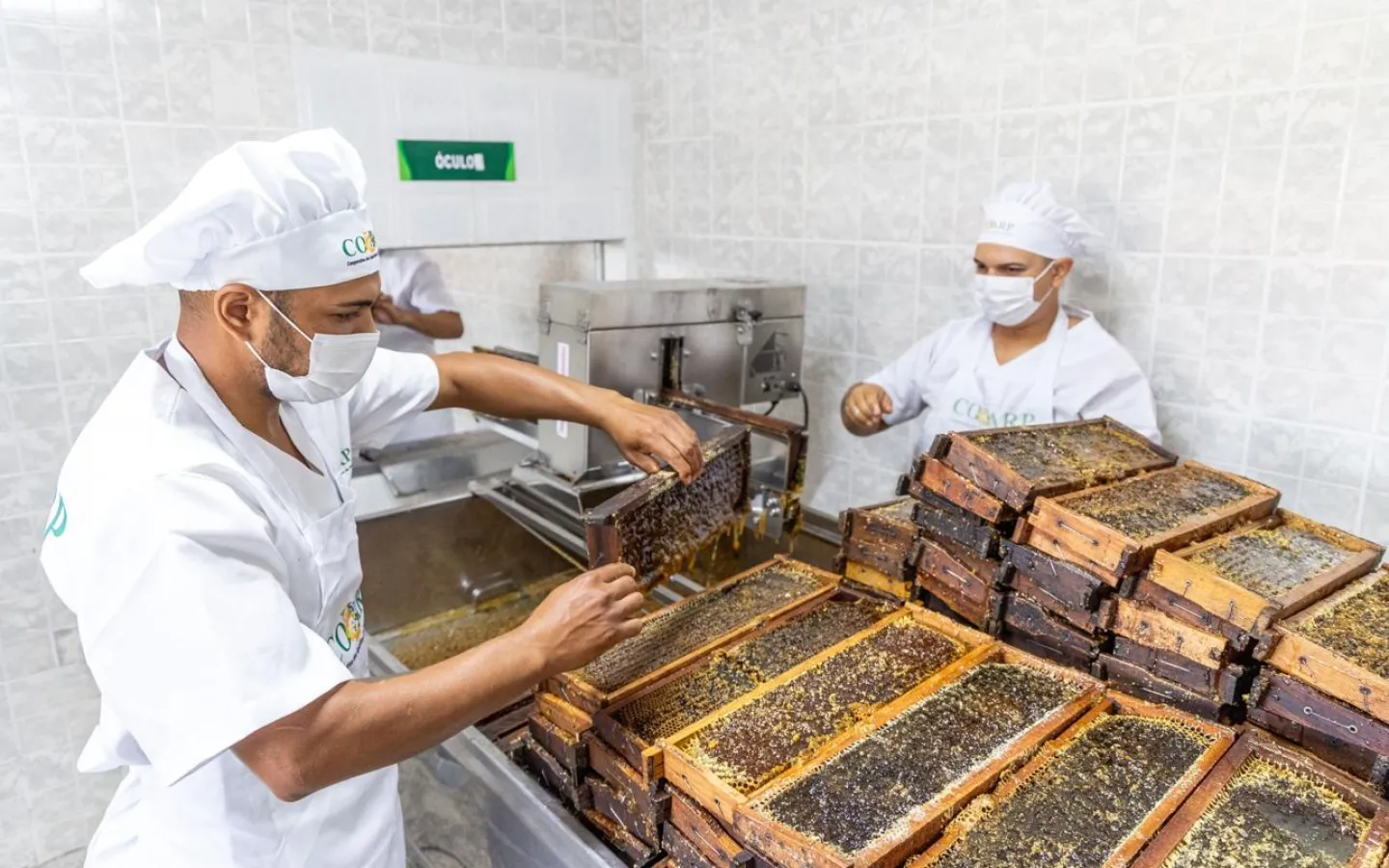 Agroindústria e Cadeias Produtivas
